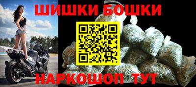 мдпв Кингисепп