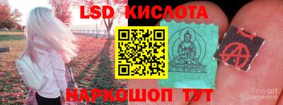 мдпв Кингисепп