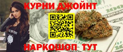 мдпв Кингисепп