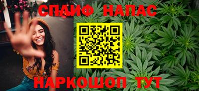 мдпв Кингисепп