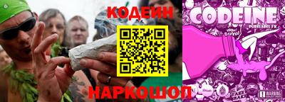 мдпв Кингисепп