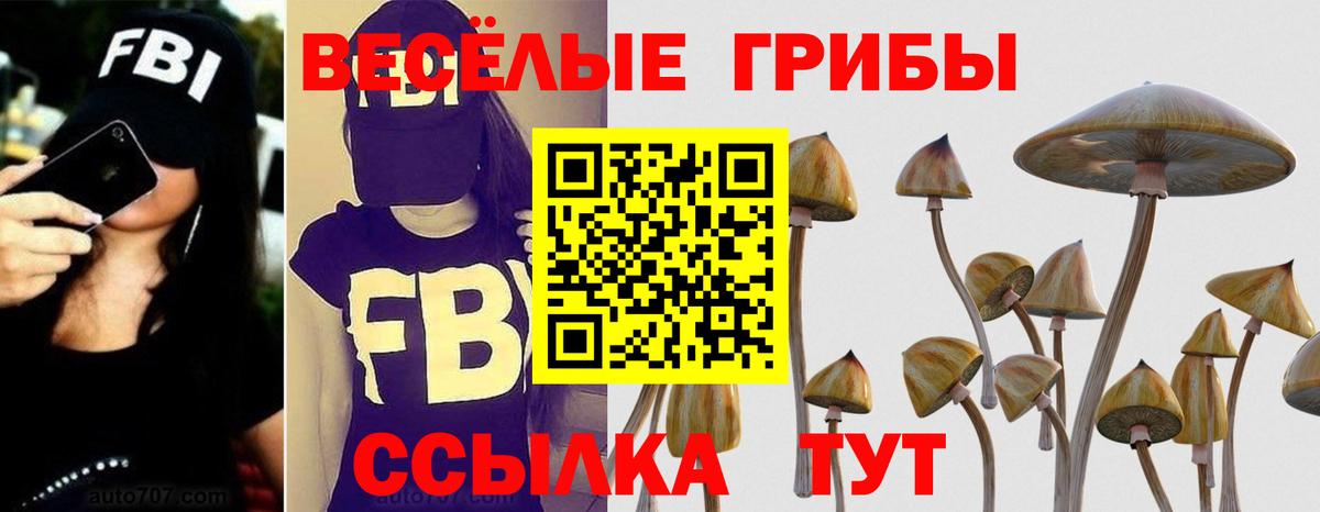 Юрга  сколько стоит  Вход с VPN  Псилоцибиновые грибы прущие грибы 